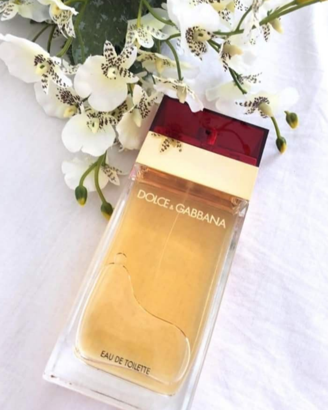 DOLCE & GABBANA CLASSIC 100 ml Para Mujer