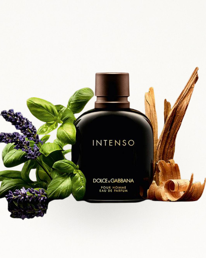 DOLCE & GABBANA POUR HOMME INTENSO 100 ml Para Caballero